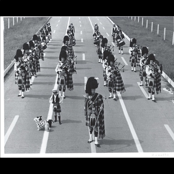 Meet your Posher, Larry - Picture 1 of 1